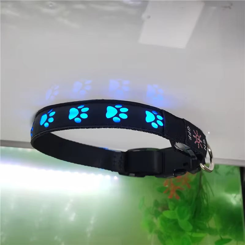LED Dogs Luminous Collar Paw Pet Dog Walking Dog Collar Tag Anti-Car Accident Anti-Lost Light Warning Safety Puppy Accessories