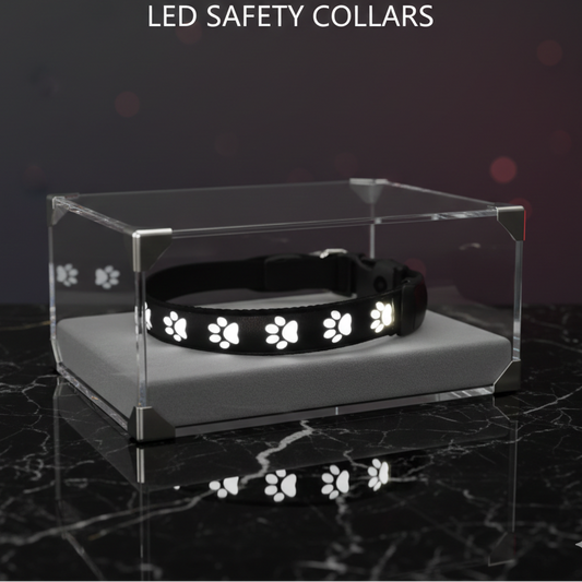 SMART TREND |  Never Lose Sight.