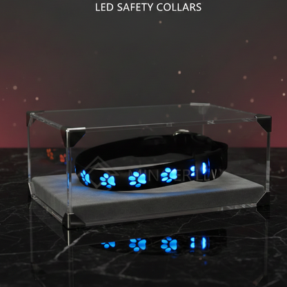 SMART TREND |  Never Lose Sight.