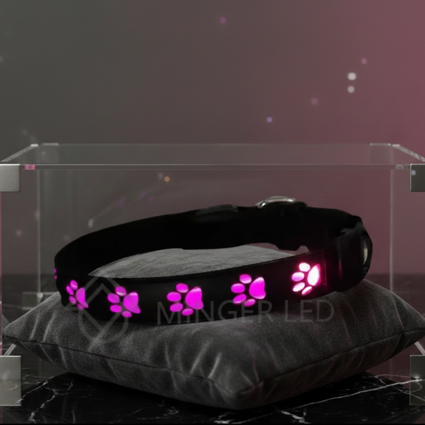 SMART TREND |  Never Lose Sight.