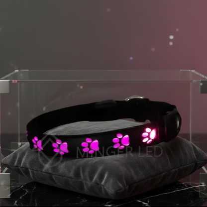 SMART TREND |  Never Lose Sight.